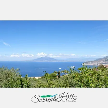 Hills Oda ve Kahvaltı *